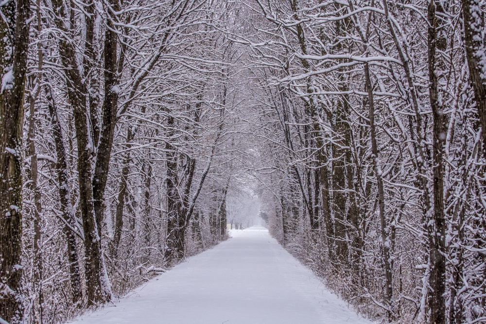The Most Romantic Bed and Breakfast in Iowa for Winter Getaways / The Best Things to do in Iowa For Couples
